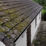 Anti-mousse maison : les recettes naturelles qui fonctionnent vraiment Toiture en tuiles partiellement envahie par la mousse et le lichen, avec terrasse en dalles de béton présentant des dépôts d'algues et traces d'humidité à proximité d'arbres.