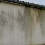 Façade de maison en enduit présentant un noircissement naturel avec des coulées sombres sous la gouttière, des traces d'algues et de lichens dues à l'humidité sur un mur exposé au nord, dans un environnement résidentiel sous un ciel nuageux.